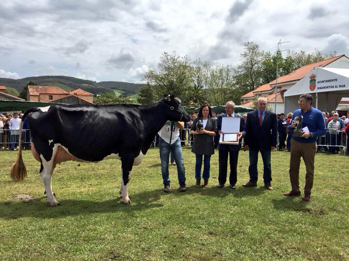 Llinde Ariel Jordan, de la ganadera S.A.T. Ceceo, Vaca Gran Campeona...