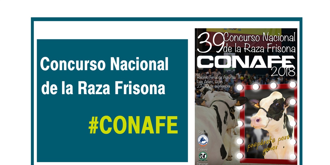 CONAFE presenta el reglamento y el cartel del 39 Concurso Nacional de...