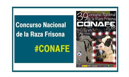 CONAFE presenta el reglamento y el cartel del 39 Concurso Nacional de...