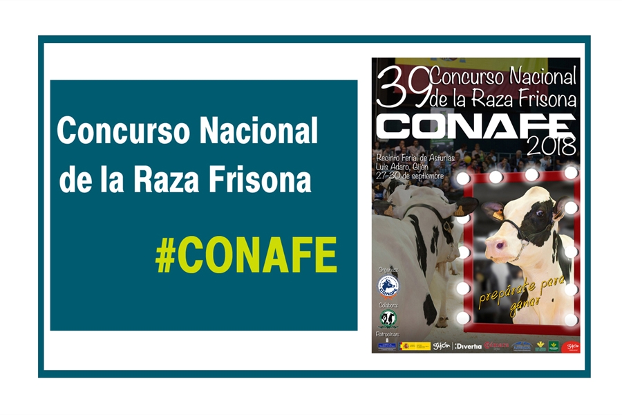 CONAFE presenta el reglamento y el cartel del 39 Concurso Nacional de...