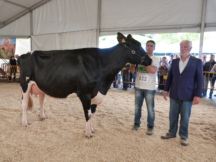 Llinde Ariel Jordan, Vaca Gran Campeona del Concurso de Raza Frisona de...