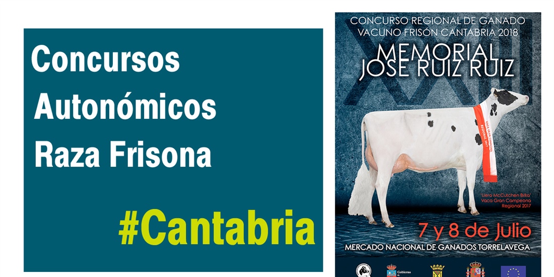 El Concurso Regional de Ganado Vacuno Frisn Cantabria 2018 se celebra...
