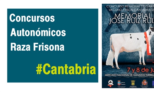 El Concurso Regional de Ganado Vacuno Frisn Cantabria 2018 se celebra...