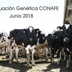 Nuevas pruebas CONAFE Junio 2018