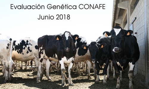 Nuevas pruebas CONAFE Junio 2018