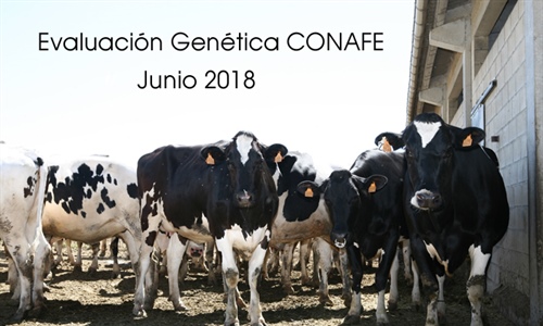 Nuevas pruebas CONAFE Junio 2018