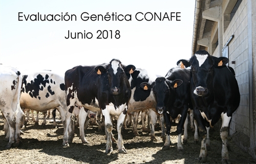 Nuevas pruebas CONAFE Junio 2018