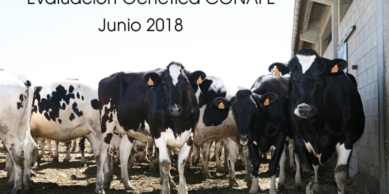 Nuevas pruebas CONAFE Junio 2018