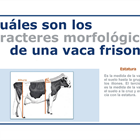 Infografía CONAFE: ¿Cómo se califica una vaca frisona o holstein?