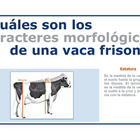 Infografa CONAFE: Cmo se califica una vaca frisona o holstein?