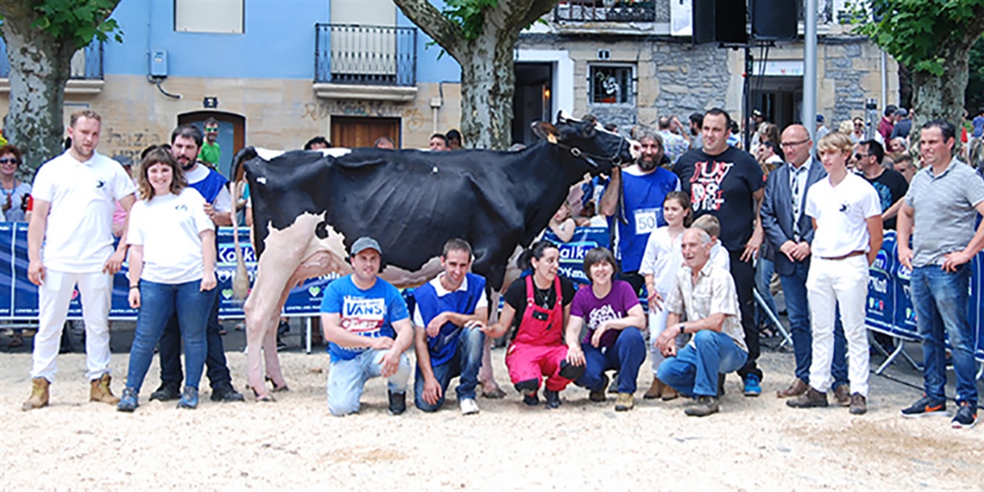 Ondazarte Sid Tximistar, Vaca Campeona en Irn