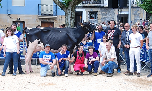 Ondazarte Sid Tximistar, Vaca Campeona en Irn