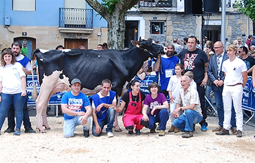 Ondazarte Sid Tximistar, Vaca Campeona en Irn