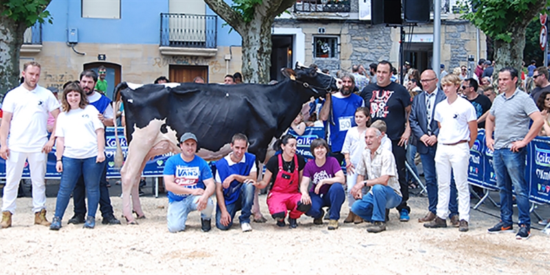 Ondazarte Sid Tximistar, Vaca Campeona en Irn