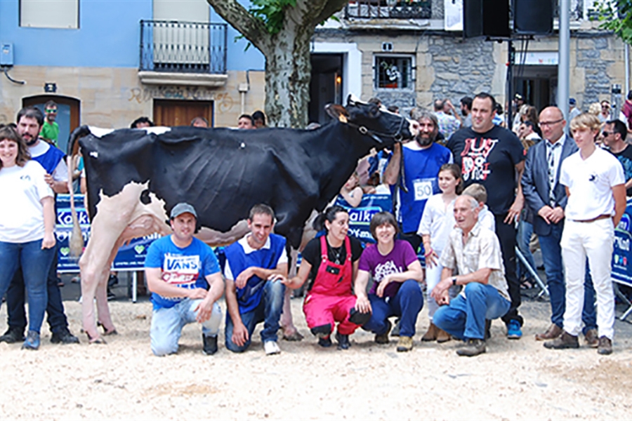 Ondazarte Sid Tximistar, Vaca Campeona en Irn