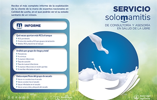 La plataforma Solomamitis ofrece el Servicio de Consultora y Asesora...