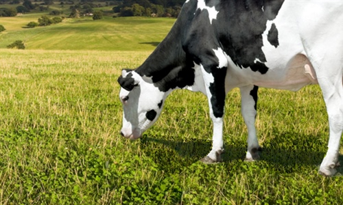 ABS adquiere el negocio de PROGENEX