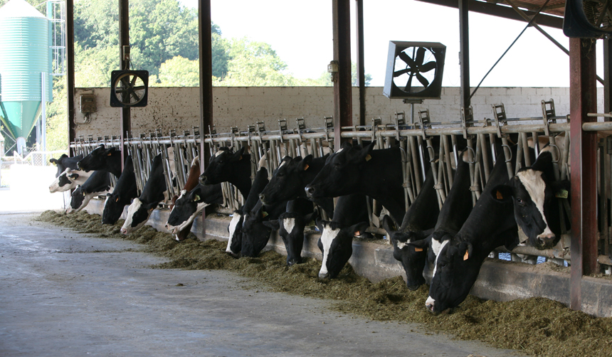 Nestl�, Lactalis y Danone, las tres empresas de l�cteos m�s grandes del...