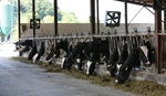Nestl, Lactalis y Danone, las tres empresas de lcteos ms grandes del mundo segn 'Global Dairy Top 20'