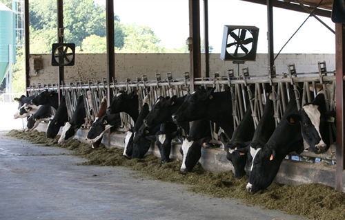 Nestl, Lactalis y Danone, las tres empresas de lcteos ms grandes del...