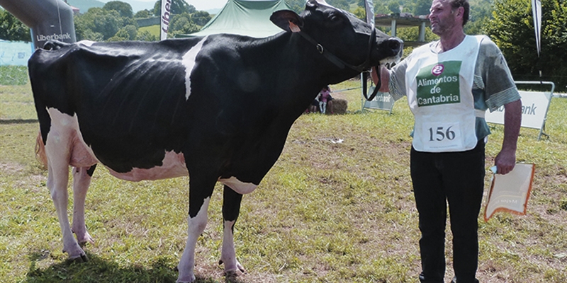 Tezanillos Stanleycup Mirona, Campeona en Villafufre