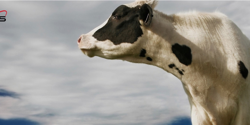 Zoetis completa la adquisicin de Abaxis, empresa de instrumentos de diagnstico veterinario