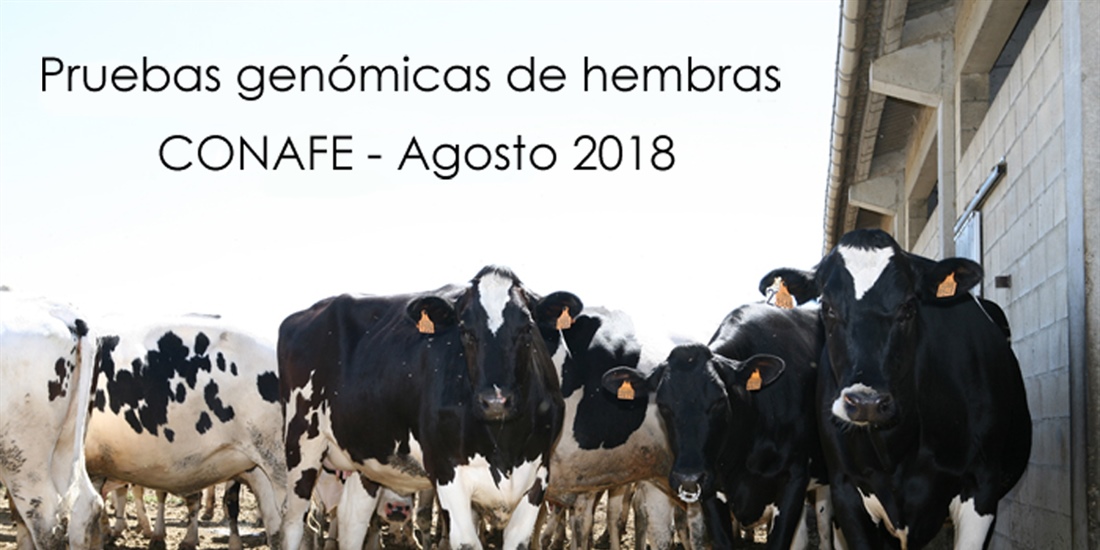 Pruebas genmicas de Hembras CONAFE Agosto 2018