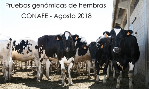 Pruebas genmicas de Hembras CONAFE Agosto 2018