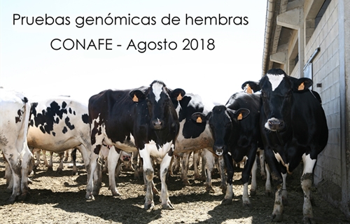 Pruebas genmicas de Hembras CONAFE Agosto 2018