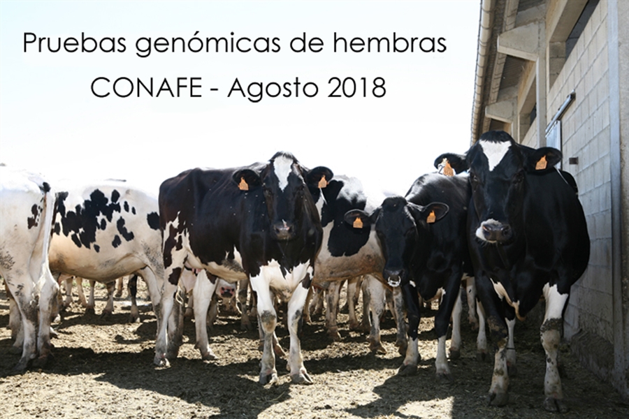 Pruebas genmicas de Hembras CONAFE Agosto 2018