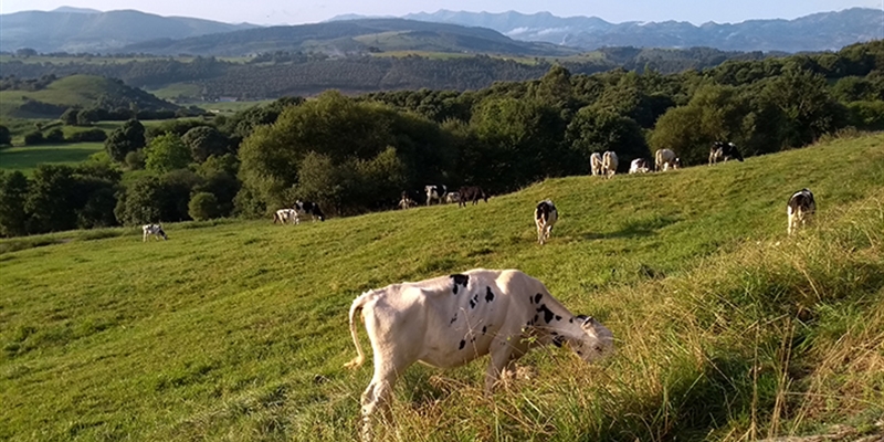 Monitorización de pastos por teledetección y seguimiento del ganado por GPS