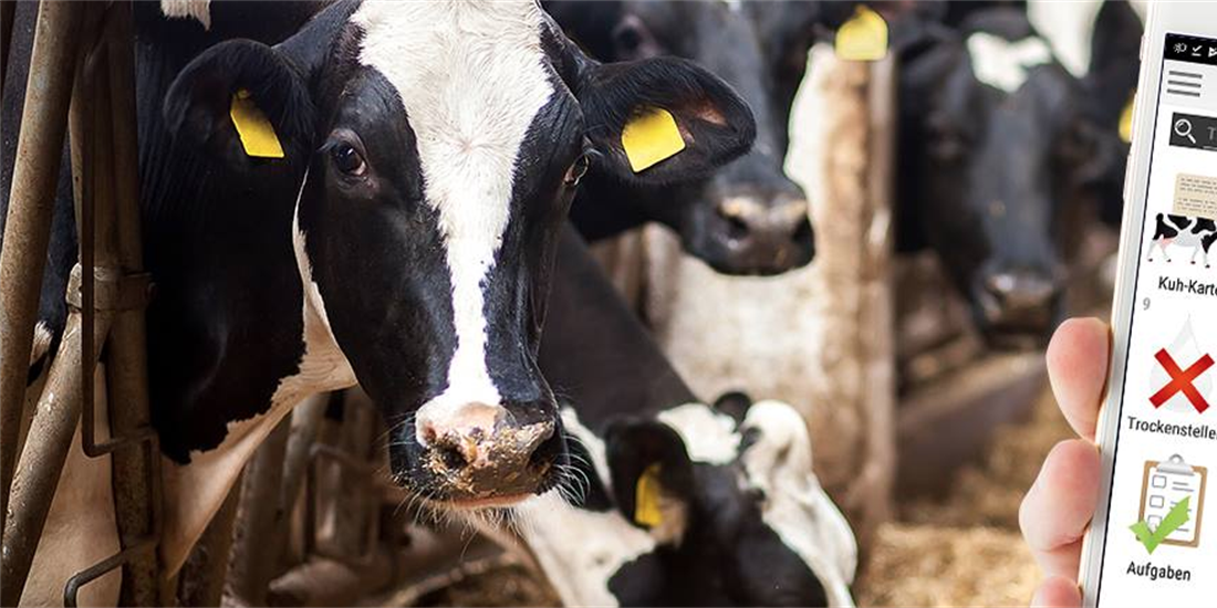 UNIFORM-Agri lanza un proyecto internacional de eficiencia productiva