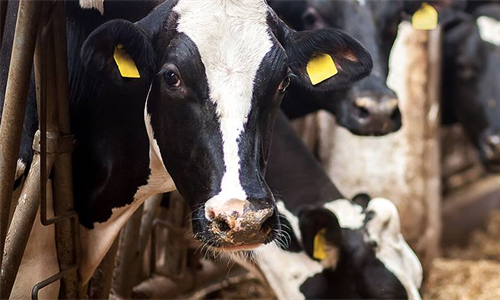 UNIFORM-Agri lanza un proyecto internacional de eficiencia productiva