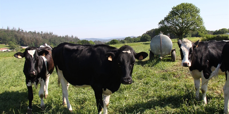 "La leche en origen tiene que subir para salvar al sector" alertan desde la UPA