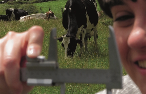 XVI Jornadas T�cnicas de Vacuno de Leche Seragro