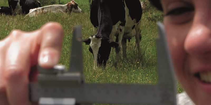 XVI Jornadas Tcnicas de Vacuno de Leche Seragro