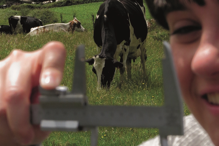 XVI Jornadas T�cnicas de Vacuno de Leche Seragro