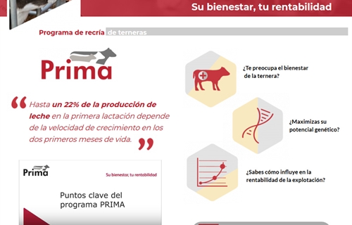 Nanta present el Programa Prima para recra de novillas en Agropec 2018