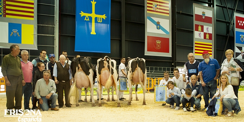 Badiola Atwood Koketa, Vaca Gran Campeona Nacional CONAFE18 por segunda vez consecutiva