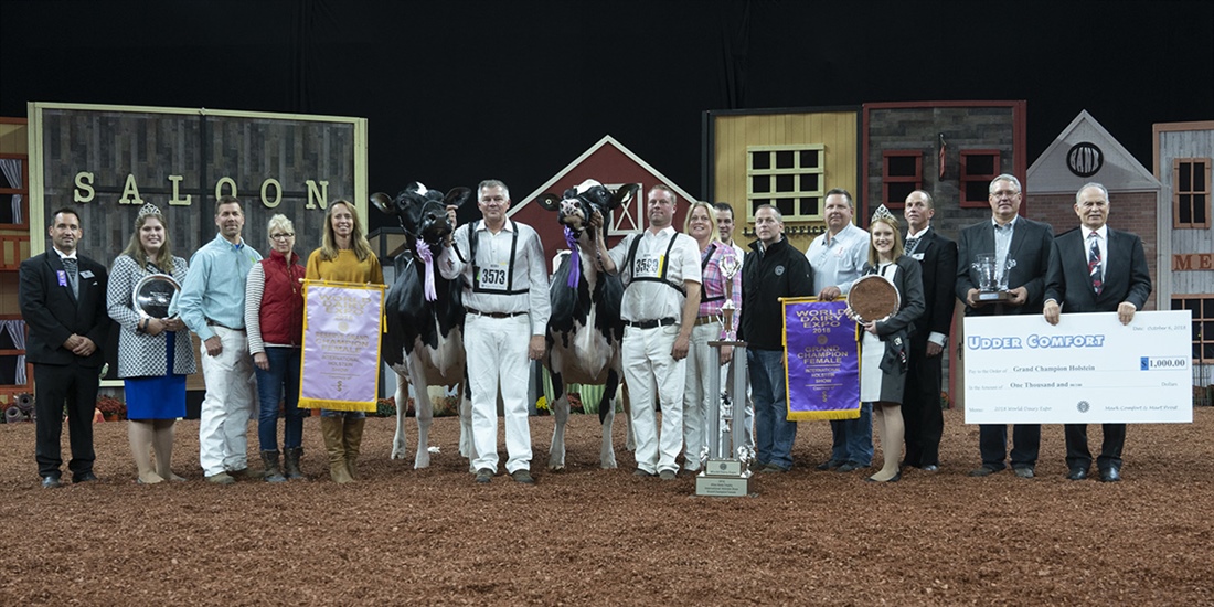 Jacobs Lauthority Loana, Vaca Holstein Gran Campeona en el World Dairy...