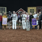 Jacobs Lauthority Loana, Vaca Holstein Gran Campeona en el World Dairy Expo 2018 de Madison