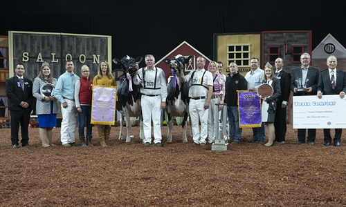 Jacobs Lauthority Loana, Vaca Holstein Gran Campeona en el World Dairy...