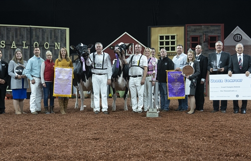 Jacobs Lauthority Loana, Vaca Holstein Gran Campeona en el World Dairy...