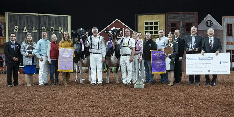 Jacobs Lauthority Loana, Vaca Holstein Gran Campeona en el World Dairy Expo 2018 de Madison