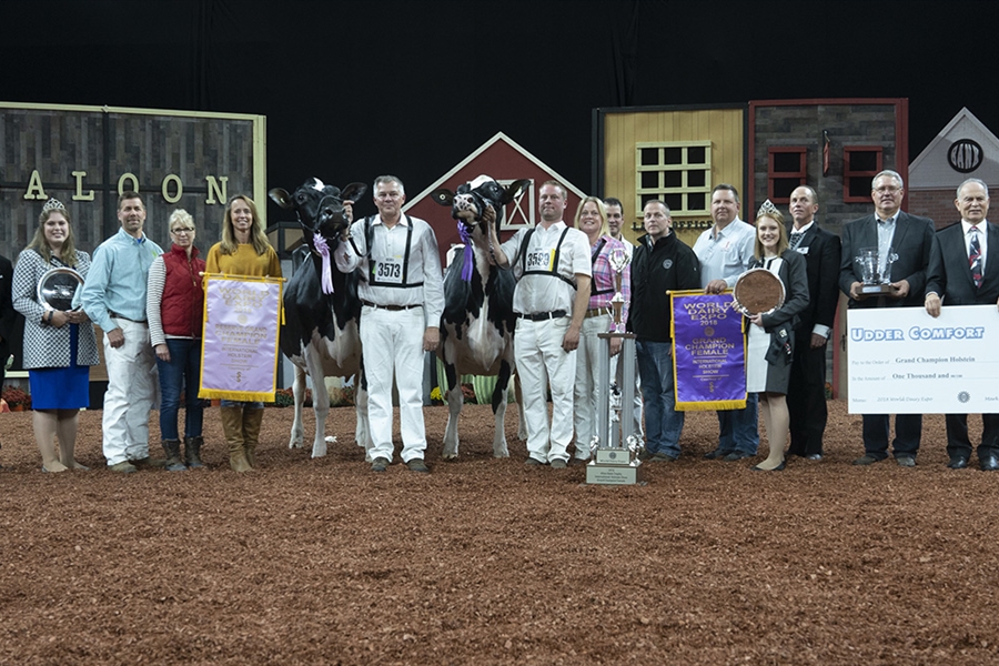 Jacobs Lauthority Loana, Vaca Holstein Gran Campeona en el World Dairy...