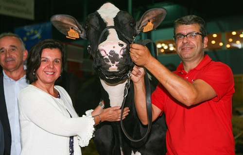 La consejera de Asturias inaugura Agropec 2018, marco del 39 Concurso...