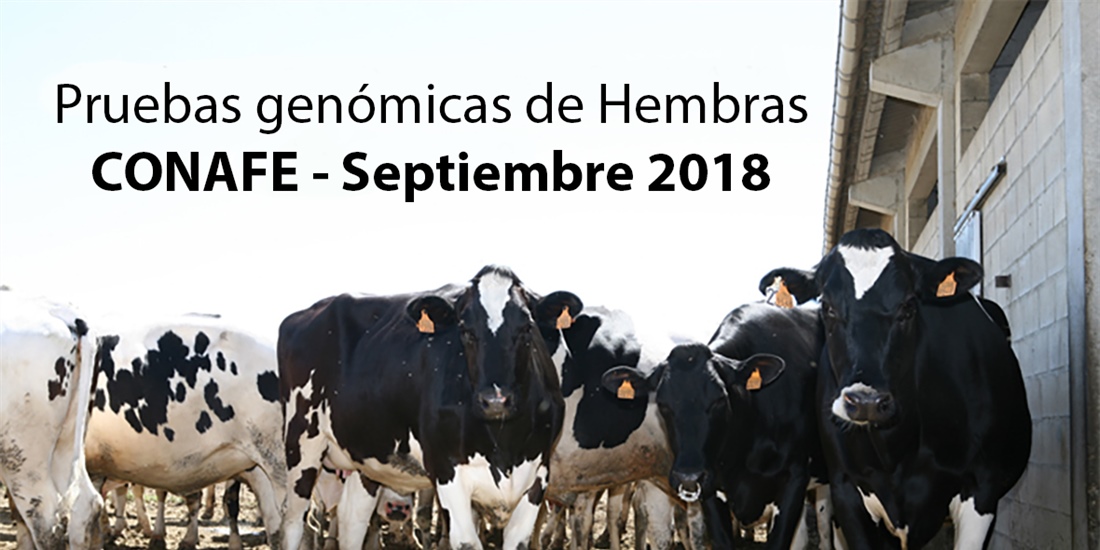 Pruebas genmicas de Hembras CONAFE  Septiembre 2018