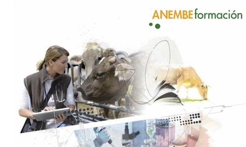 Anembe organiza un Seminario de ecografa de rganos y exploracin...