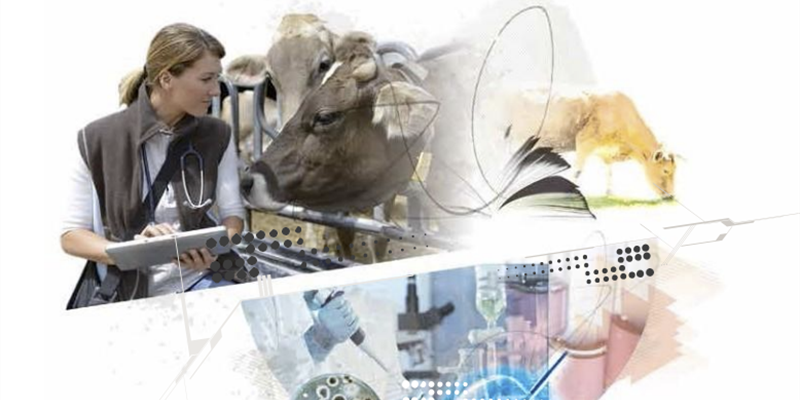 Anembe organiza un Seminario de ecografía de órganos y exploración clínica de los bovinos