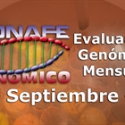 Evaluacin genmica de septiembre 2018